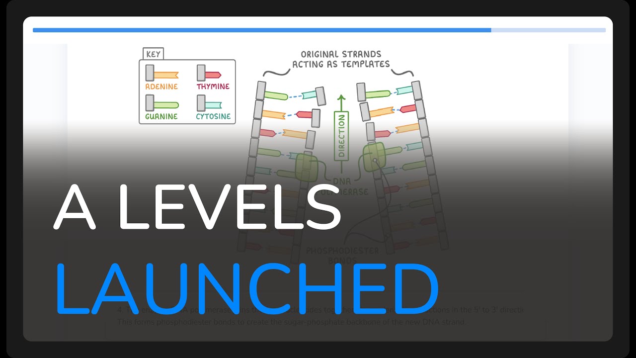 Master Cognito's A-Level Resources: Ultimate Study Guide