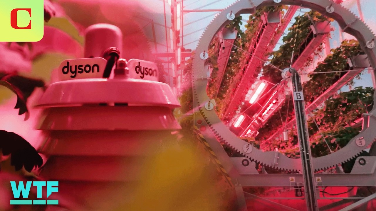 Dyson Circular Farming: Future of Sustainable Agriculture?