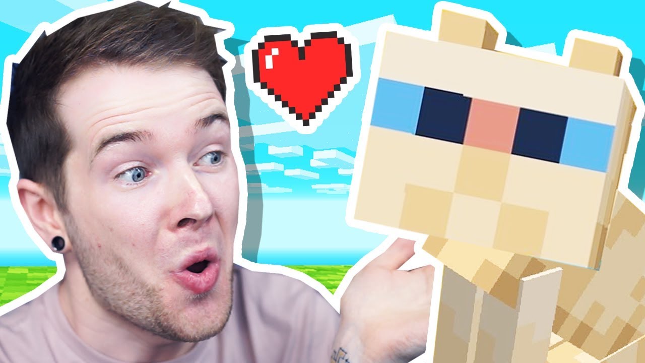 How to Find and Breed Sphynx Cats in Minecraft