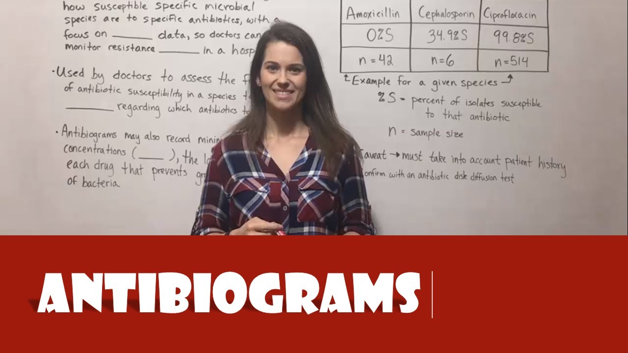 Antibiograms Explained: How Doctors Fight Antibiotic Resistance