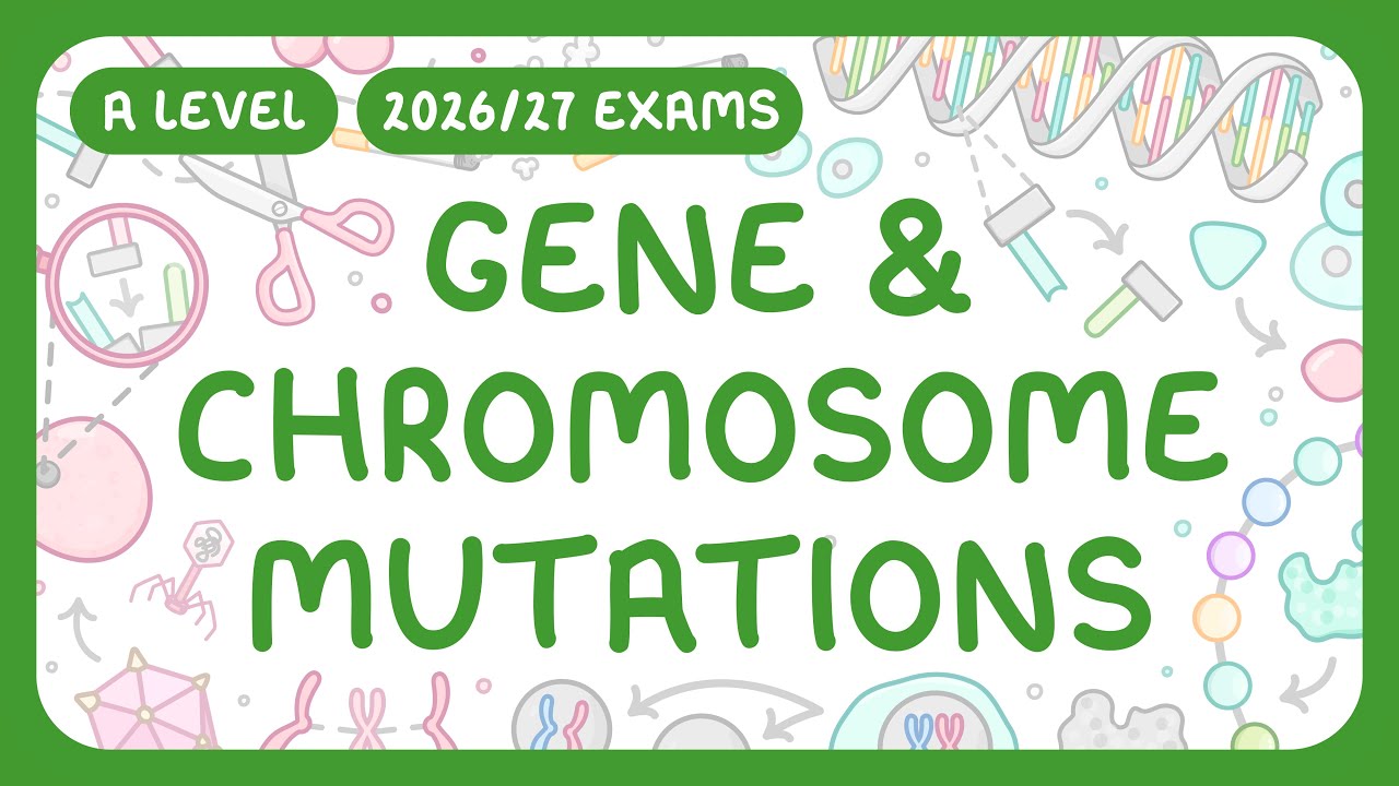 Gene and Chromosome Mutation Types Explained Clearly