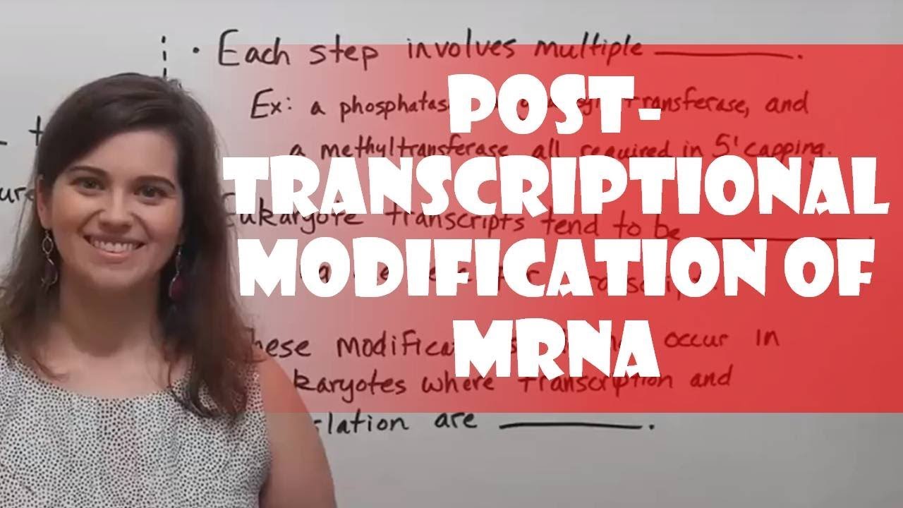 Eukaryotic mRNA Processing: 3 Key Modifications Explained