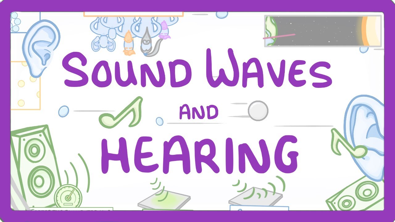 How Sound Waves Travel & Human Hearing Explained