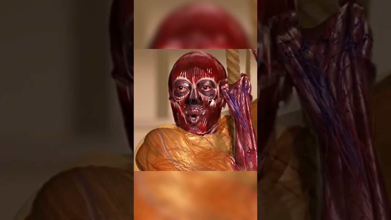 X-Ray Vision Story Analysis: Powers, Betrayal & Hidden Truths