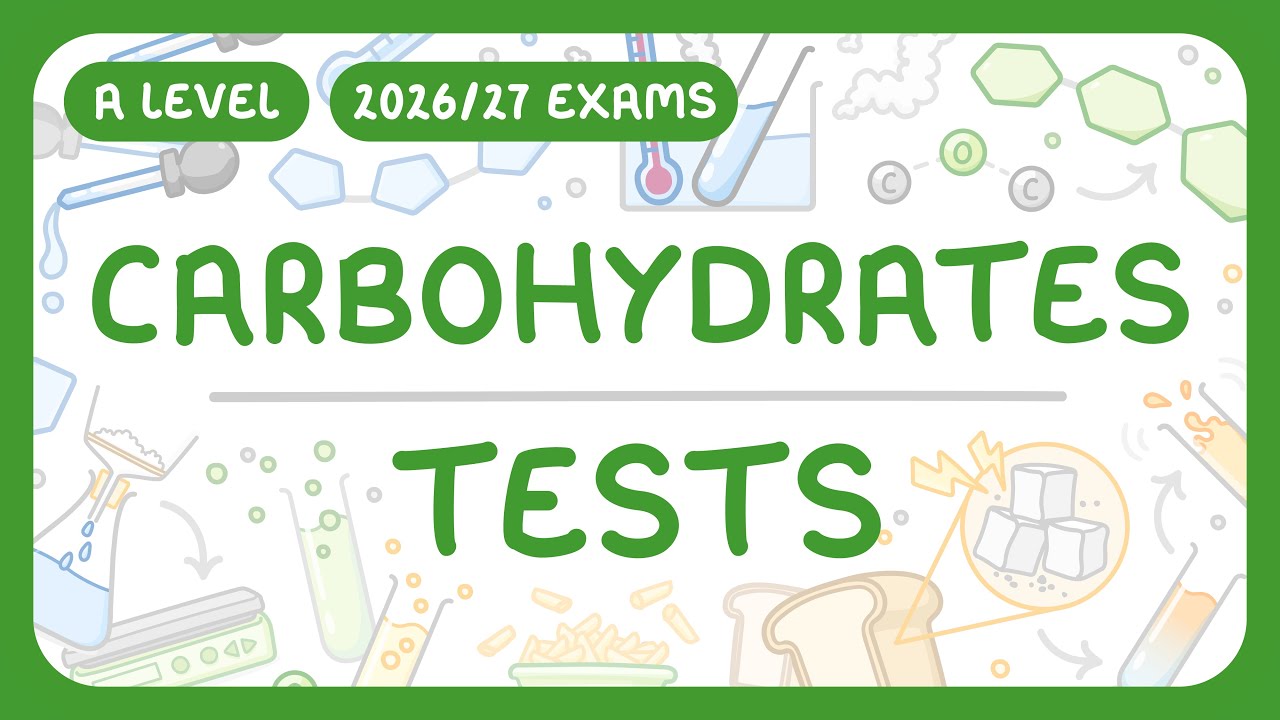 Carbohydrate Testing Methods: A Step-by-Step Guide