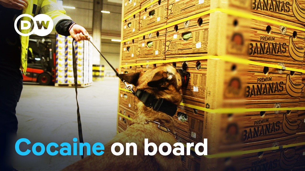 Hamburg Port Cocaine Crisis: Inside the Smuggling Networks