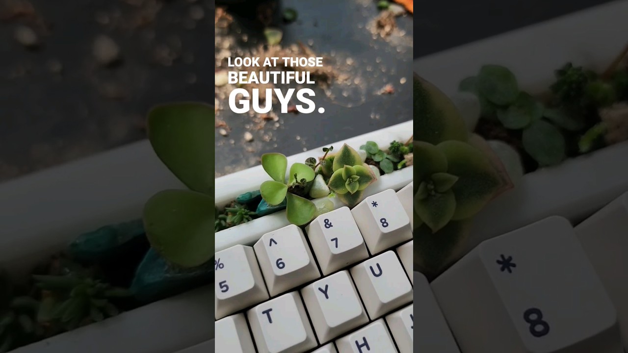 Revive Your Keyboard Garden: Fixing Dead Plants in 5 Steps