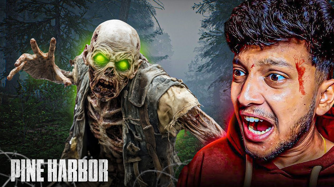 Pine Harbor Survival Guide: Beginner Tips & Story Explained