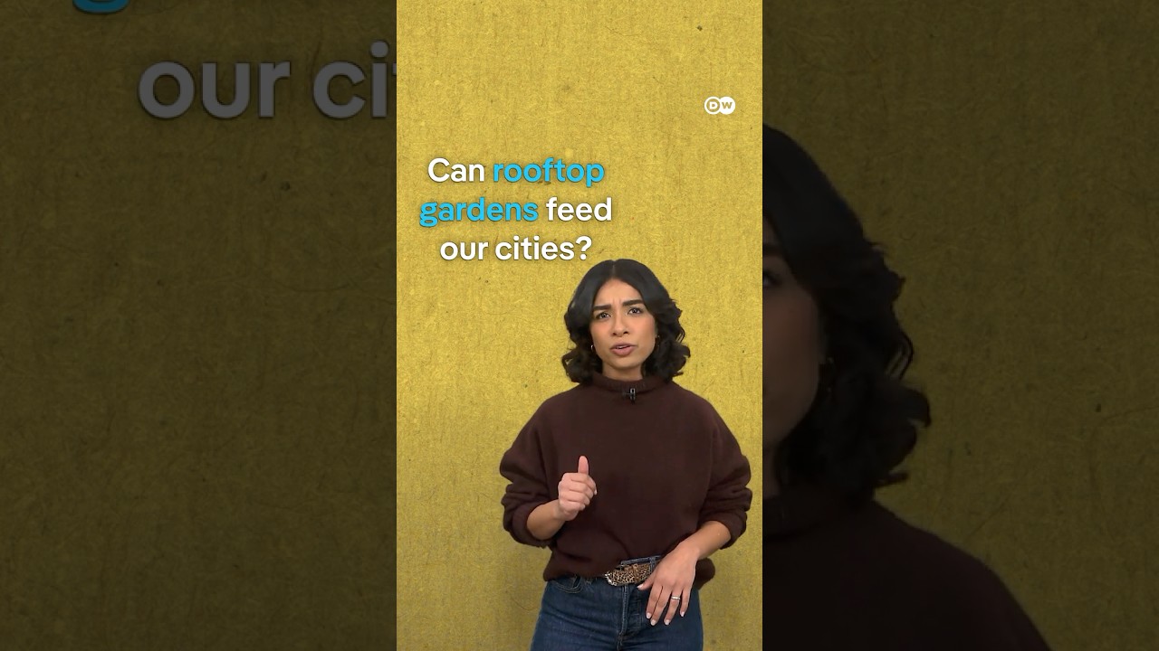 Rooftop Farms: Grow Food Security in Urban Spaces