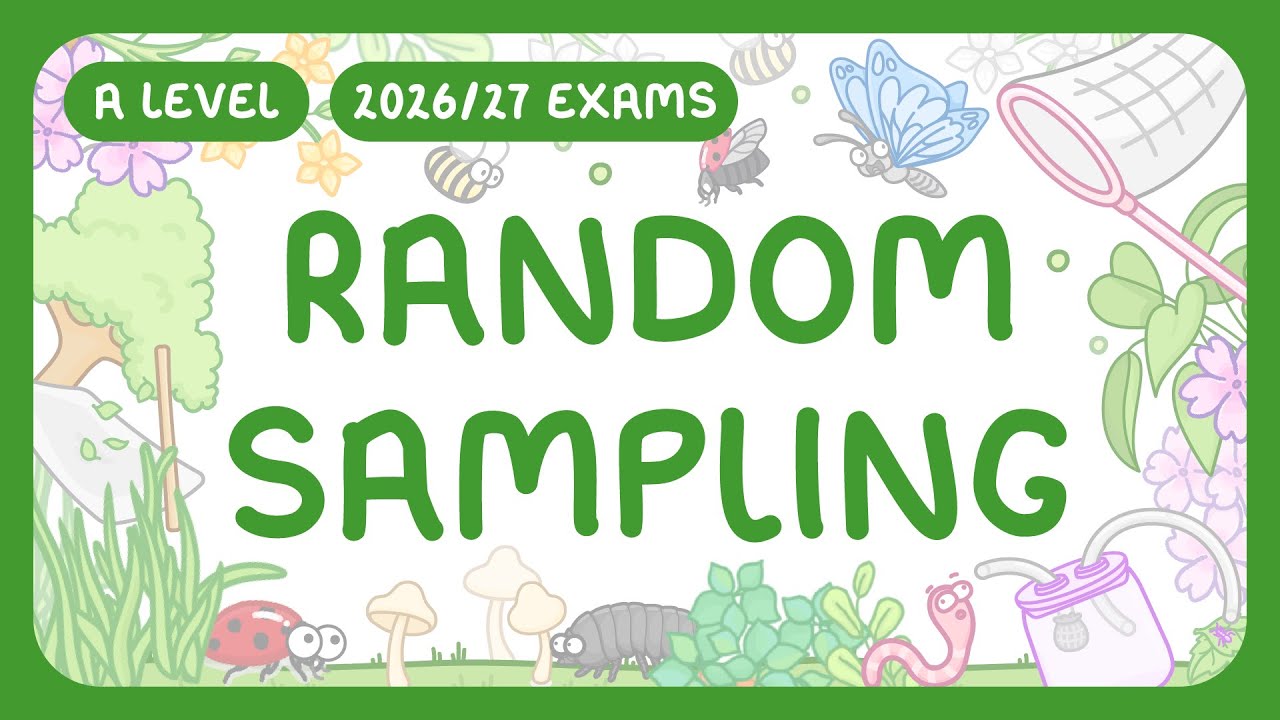 Master Random Sampling: Techniques & Population Estimation