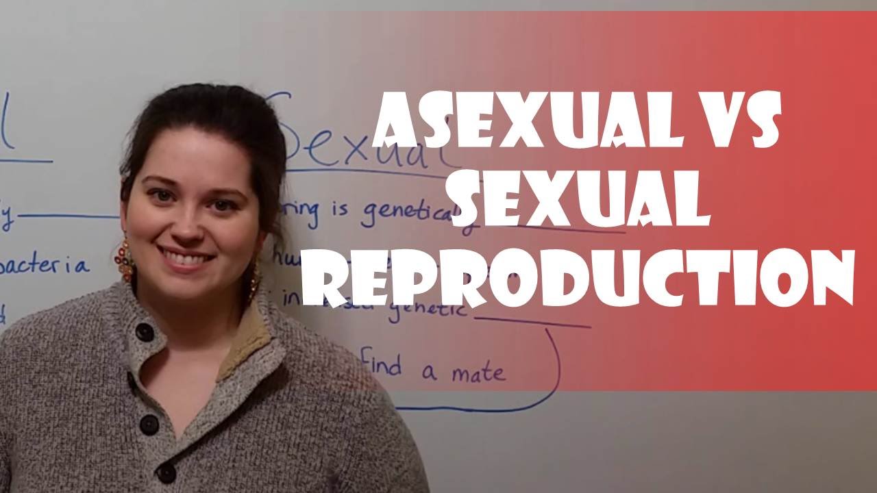Asexual vs Sexual Reproduction: Key Differences Explained