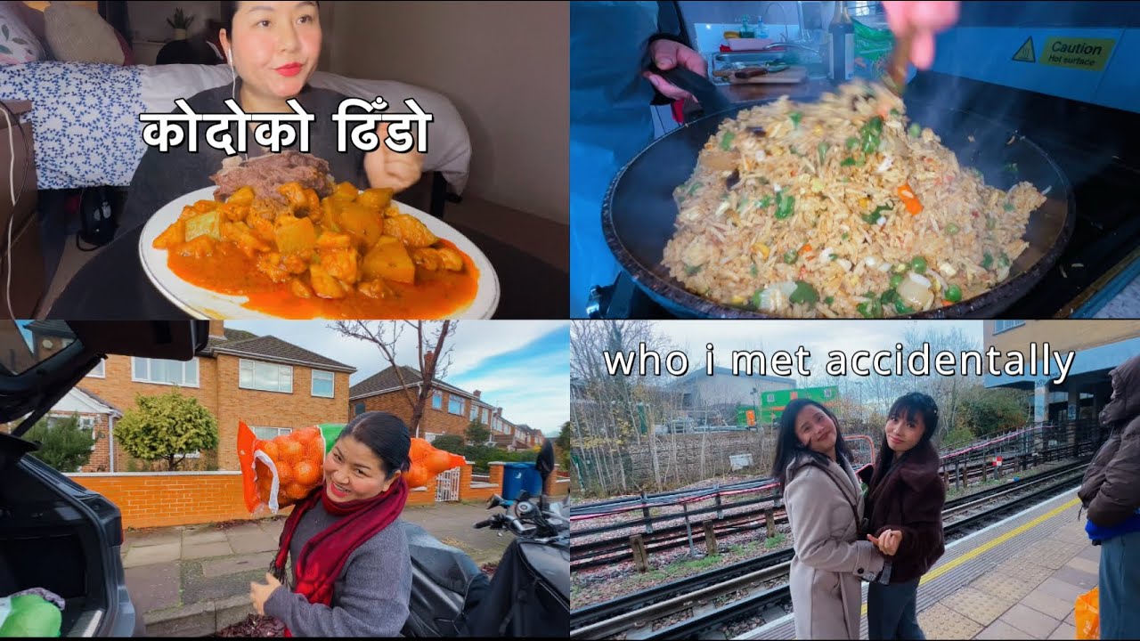 Home Humidity Control: Practical Solutions for Healthier Living