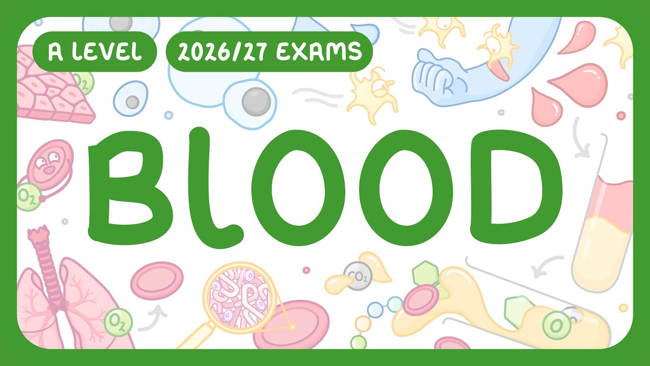 Blood Components Explained: RBCs, WBCs, Platelets & Plasma