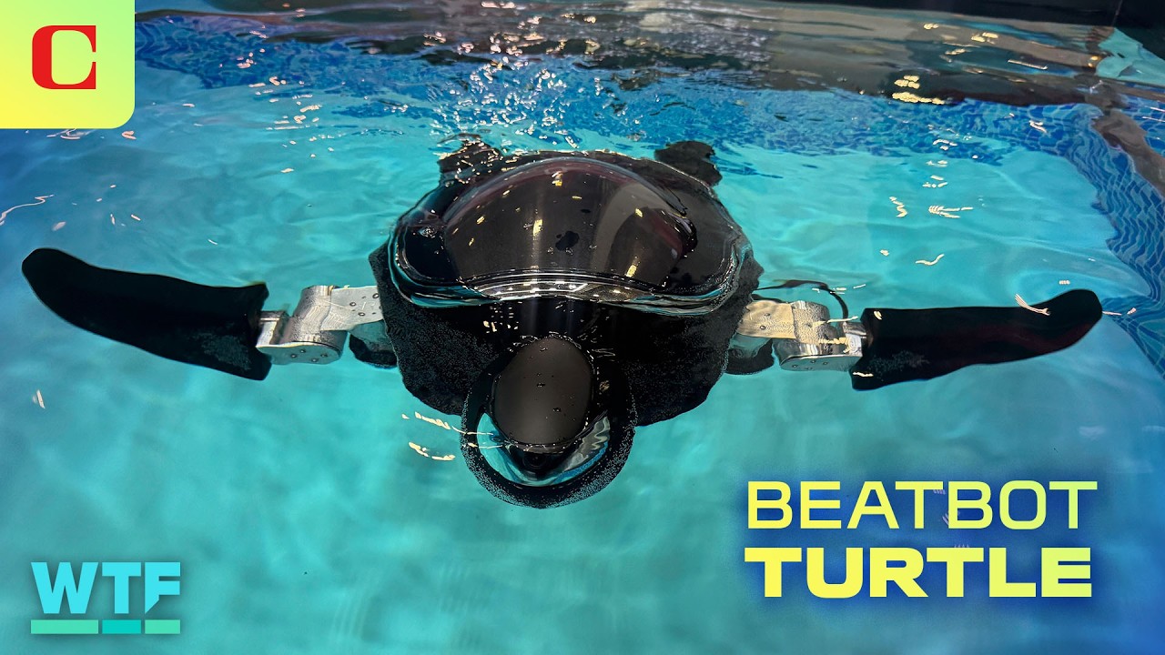 Beatbot Tertini: Robotic Sea Turtle for Ocean Monitoring