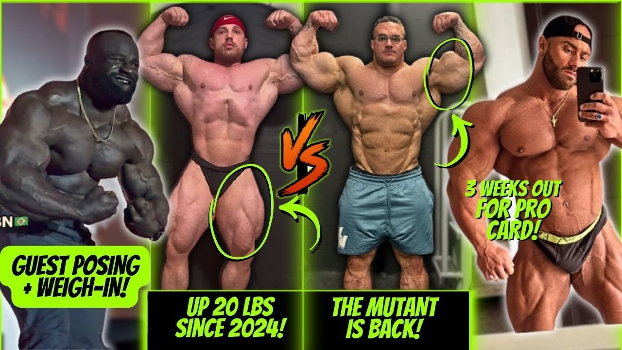 Rising IFBB Bodybuilders: Nico Stallone Analysis & Pittsburgh Pro Predictions