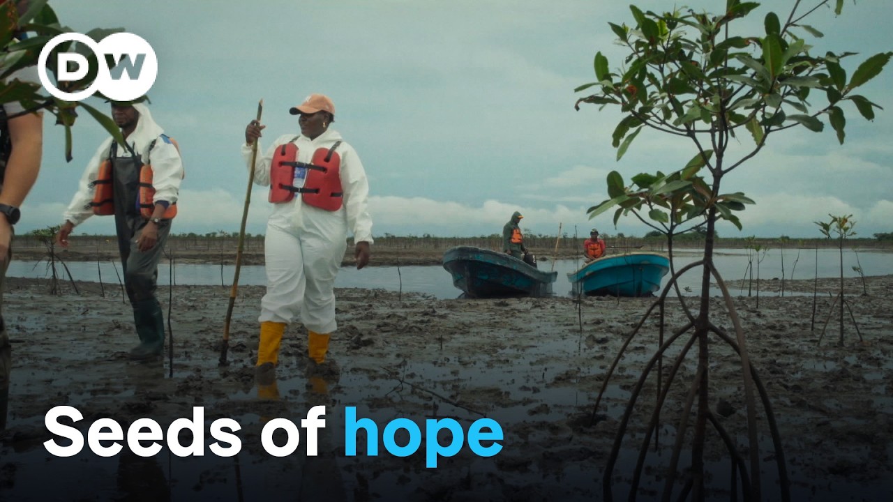 Shell's Niger Delta Oil Spills: Health & Legal Battle