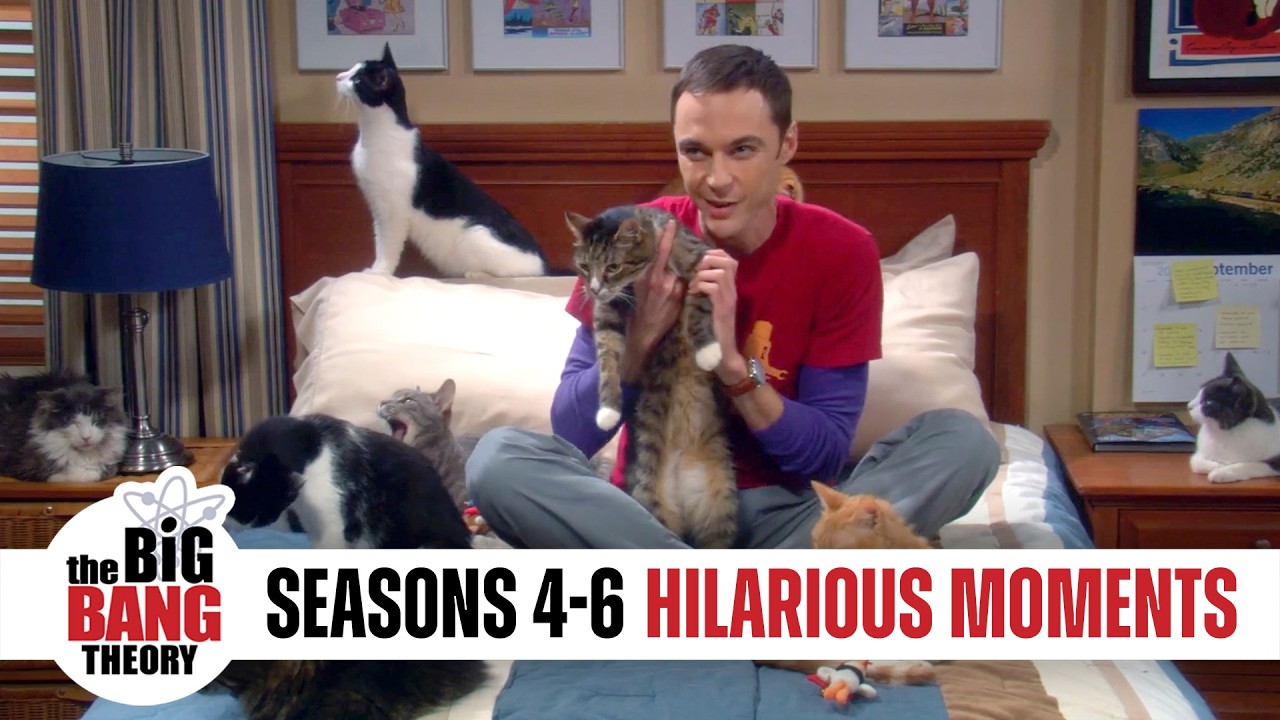 Howard's Proposal to Bernadette: Big Bang Theory's Most Unexpected Moment