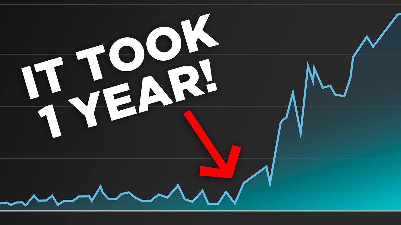 First-Year YouTube Earnings Reality: 183€ Monetization Journey