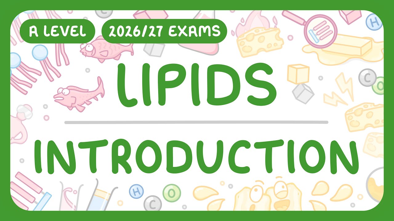 Lipid Essentials: Structure, Functions, and Testing Explained