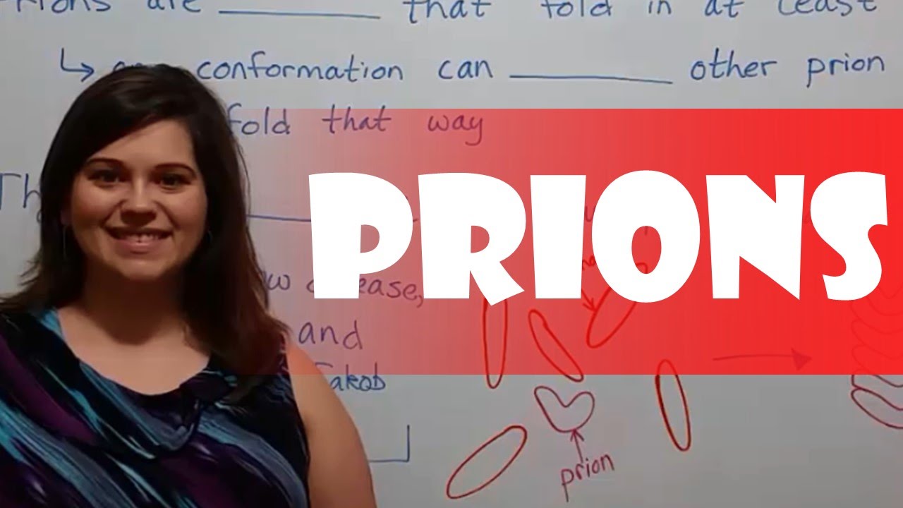 Prion Proteins: How Misfolded Proteins Cause Fatal Brain Diseases