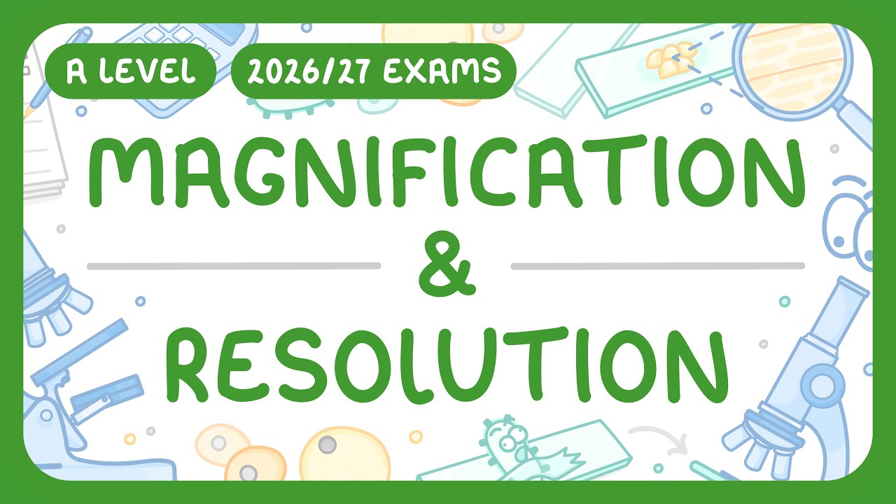 Microscope Magnification & Resolution Explained | Guide & Formula
