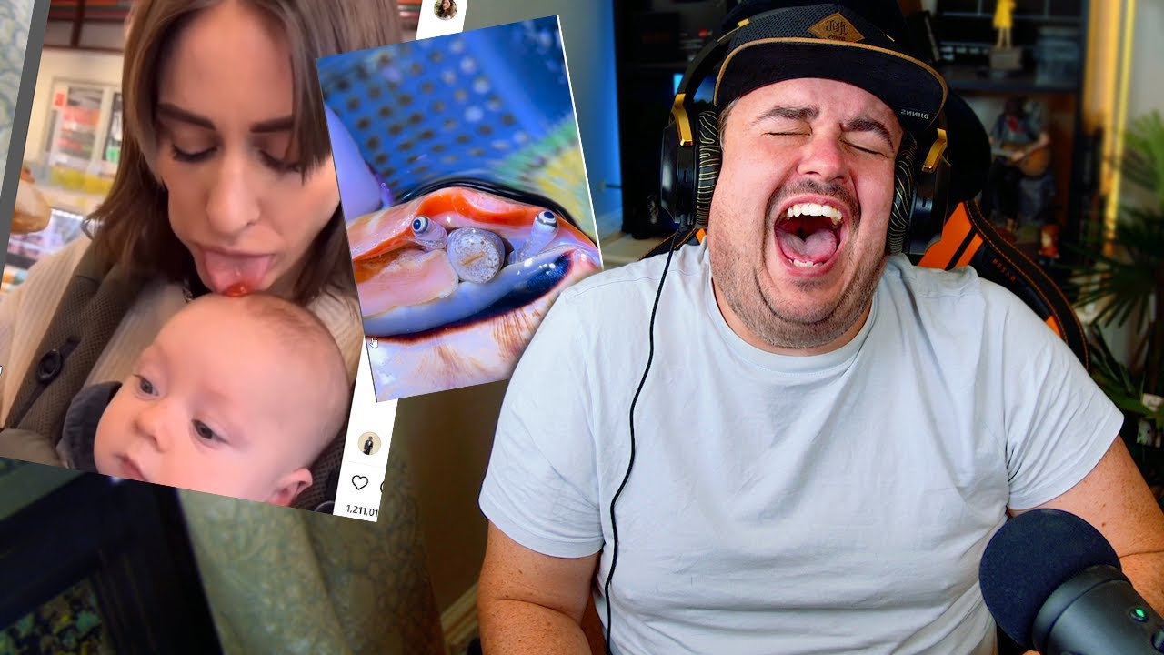 Daz Games Try Not to Laugh Challenge Fails & Highlights