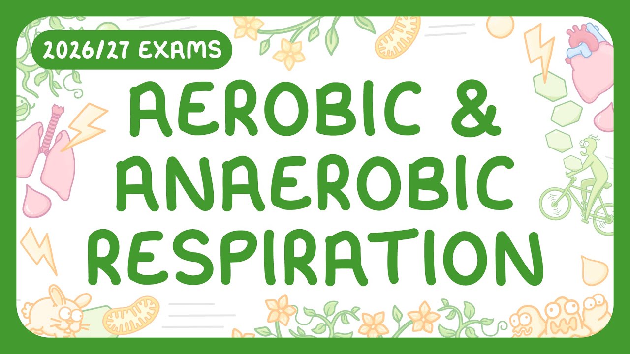 Cellular Respiration Explained: Aerobic vs Anaerobic Processes