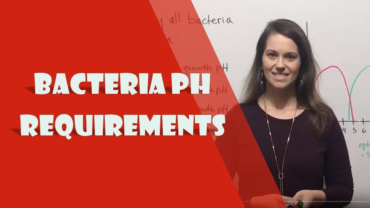 Bacterial Growth pH Requirements: Acidophiles to Alkaliphiles Explained