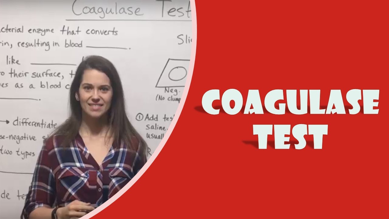 Coagulase Test Protocol: Identify Staphylococcus Aureus in Lab