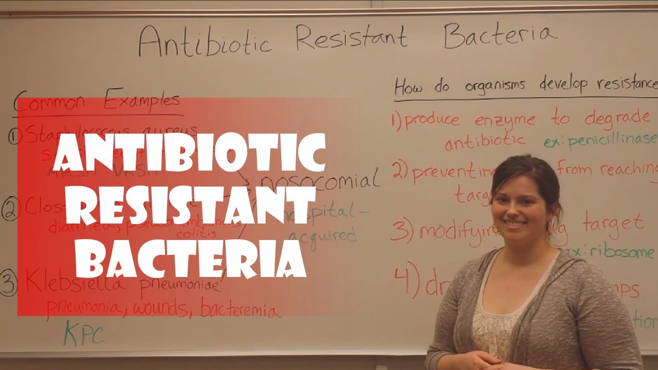 Antibiotic-Resistant Bacteria: Threats and Prevention Strategies