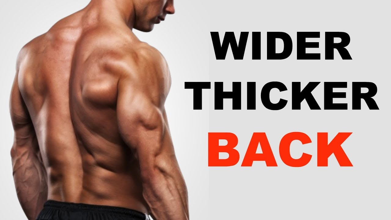 3 Best Back Exercises for Beginners (Proper Form Guide)