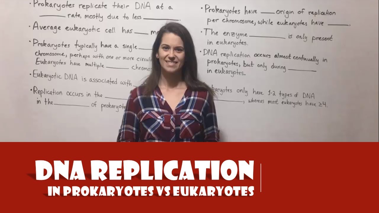 Prokaryotic vs Eukaryotic DNA Replication: 7 Critical Differences