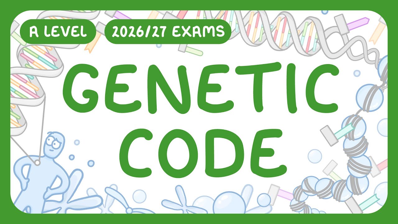 Genetic Code Explained: DNA to Proteins Simplified
