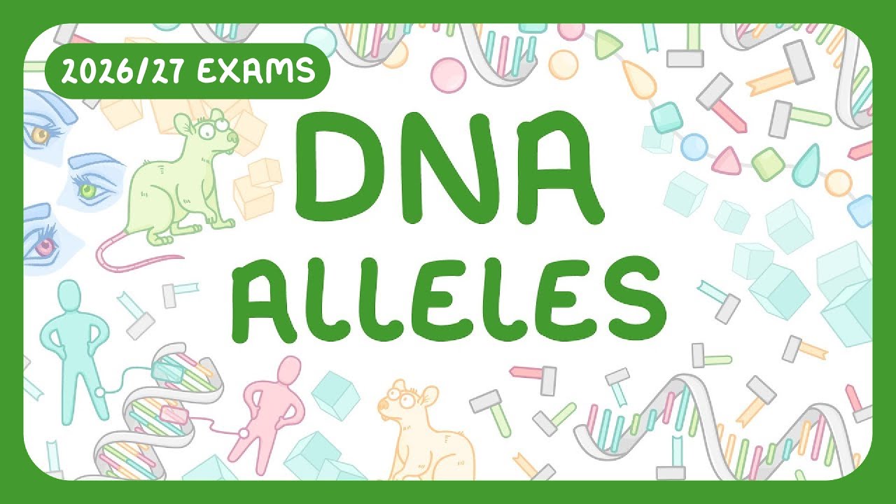 Genetics Basics: Alleles, Dominance, Homozygous vs Heterozygous Explained
