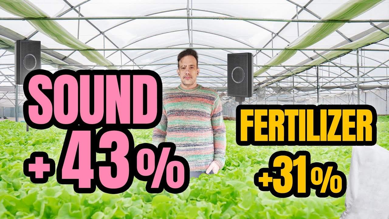 Sound and Plant Growth: Science-Backed Experimental Insights